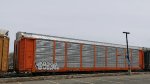 BNSF 28756 (Body) TTGX 995374 (Flat)